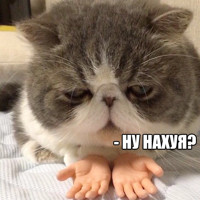 Безудержная деградация