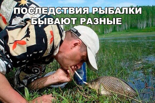 Подборка безудержного веселья
