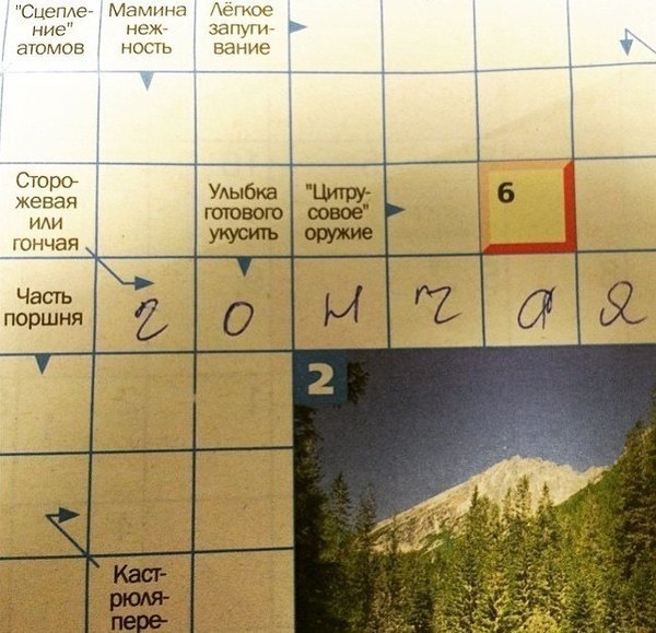 Весёлые картинки