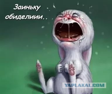 Бывшая жена просит деньги. Давать или нет?