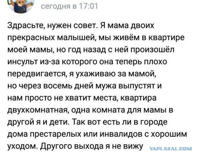 Яжематери осваивают собирательство