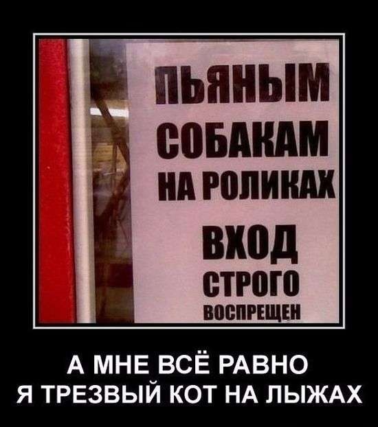 Картинки для настроения в пятницу.