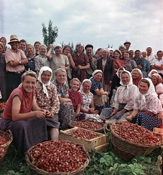 Советский Союз 1950-1960 гг. в объективе Всеволода Тарасевича
