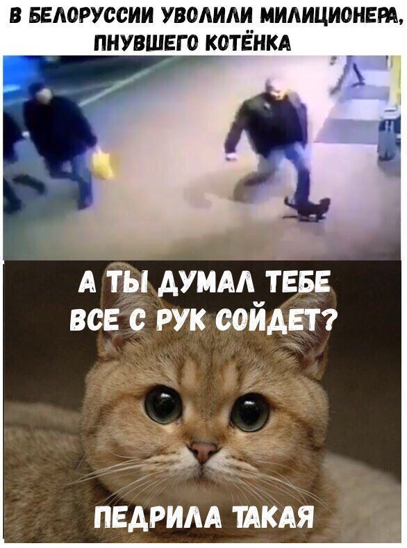 Прикольные картинки обо всём
