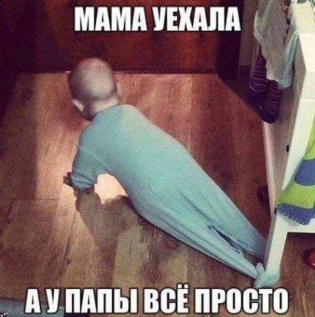Немного картинок в этот четверг