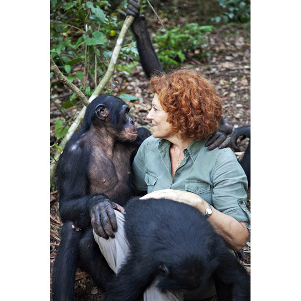 Заповедник Lola ya Bonobo в Конго