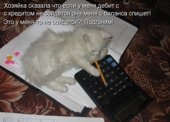 Состоятельный котовторник