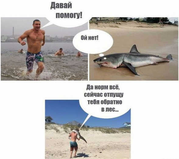 Отправили в плавание