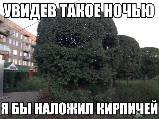 Нестандартный юмор