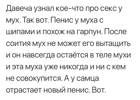 Немного картинок для настроения