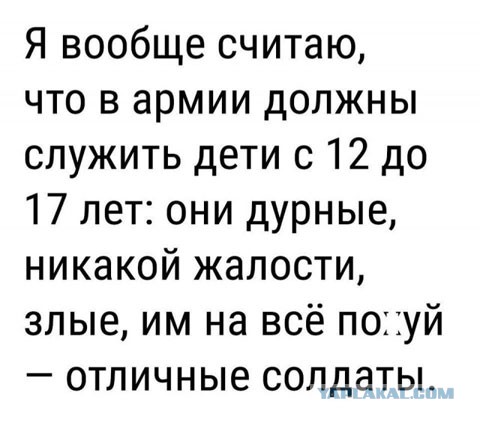 Ульяновск. Компания отморозков попыталась отбить приятеля у росгвардейцев