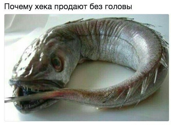 Картинки с претензией на юмор