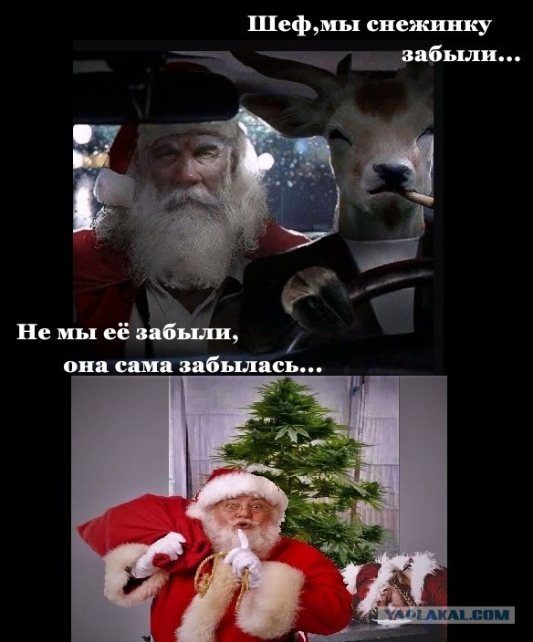 Немного картинок для настроения 27.12.19