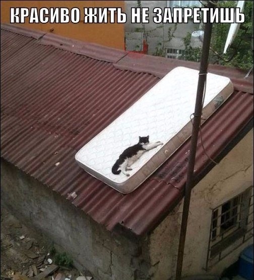 Чуток картинок. Ночные 8
