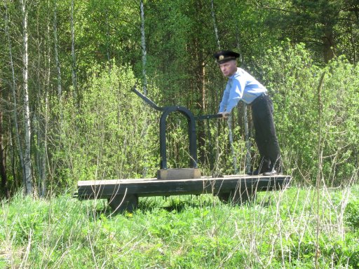 Фотожаба: Жириновский проводник