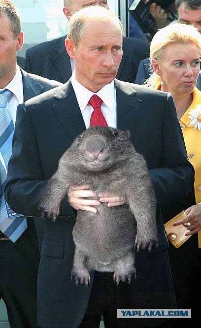 Фотожаба: Путин и зверь