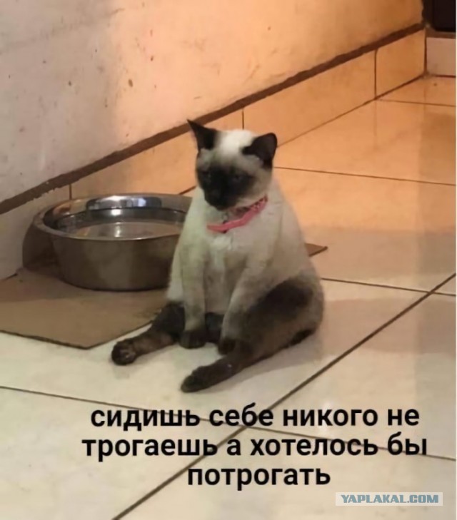 Разведенки не нужны?