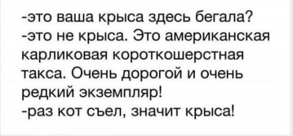 Бредзона 15.09.2020