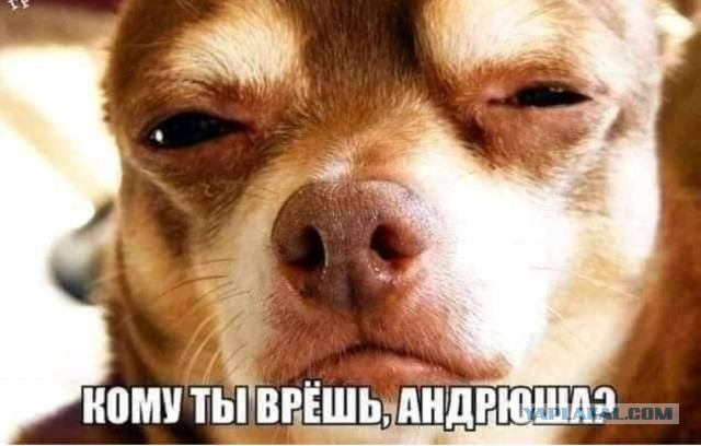 Бредзона 28.01.2021
