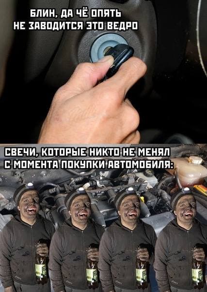 Не пропускай день деградации!