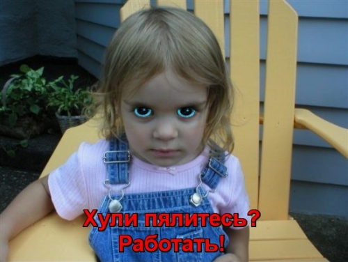 пока вы смотрите эту картинку....