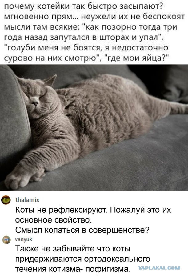 Бредзона 08.02.2021