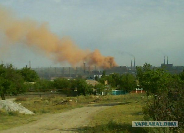 Янукович и зонтик