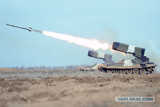 Шмели на солнцепеке