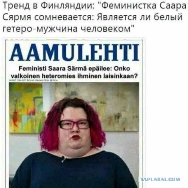 Кочет, выходи!