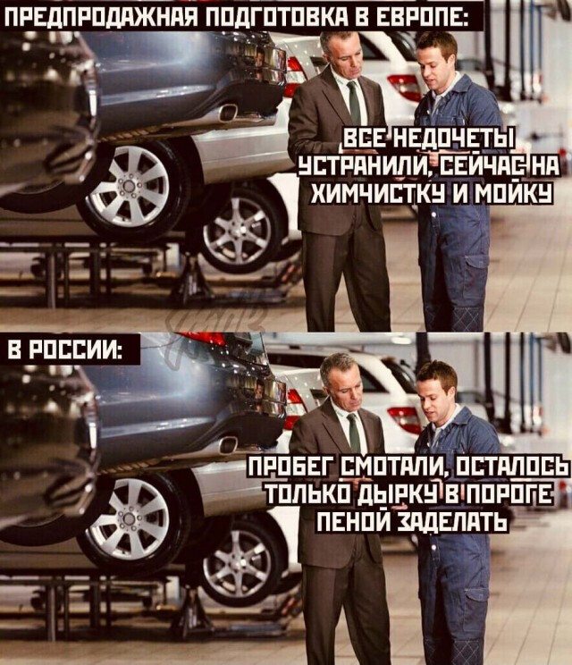 Фотки и картинки: юморные и красивые, забавные и милые 25.03.21