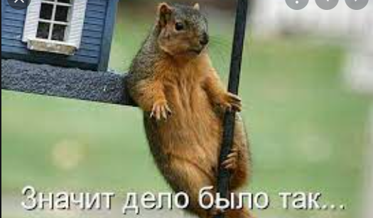 Момент гибели мотоциклиста в Волгоградской области попал в объектив видеорегистратора