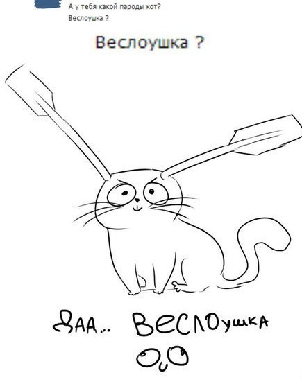 Котовторник (свои добавляем)