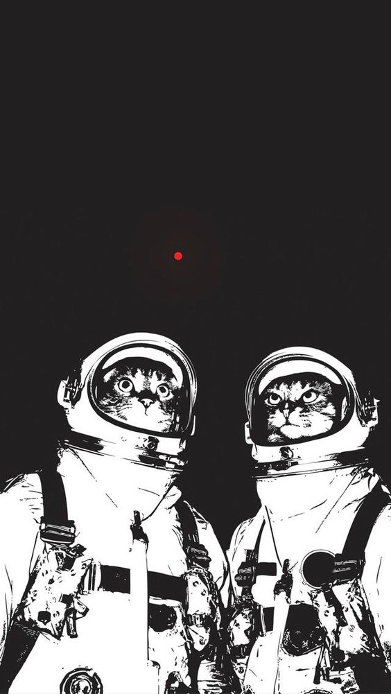 35 картинок разных 08.09.2021