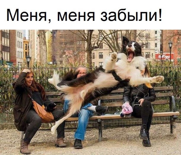 Баянисто-небаянистый юмор 9.11.21