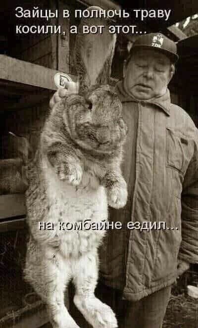 Немного картинок и прочей хреноты Vol. 9