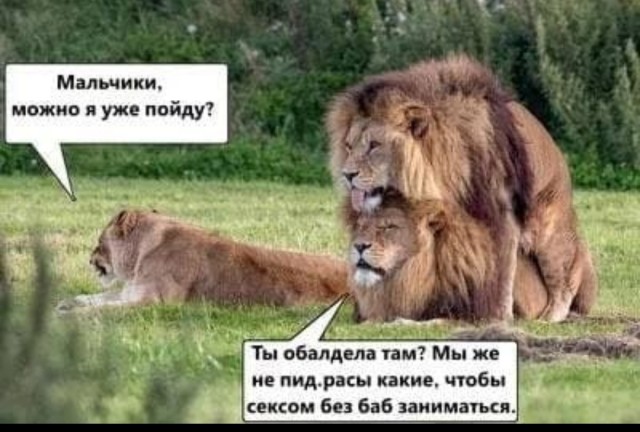 Немного юмора, гуманитарного - 4