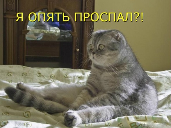 18 фото, которые вызовут у вас тревожность