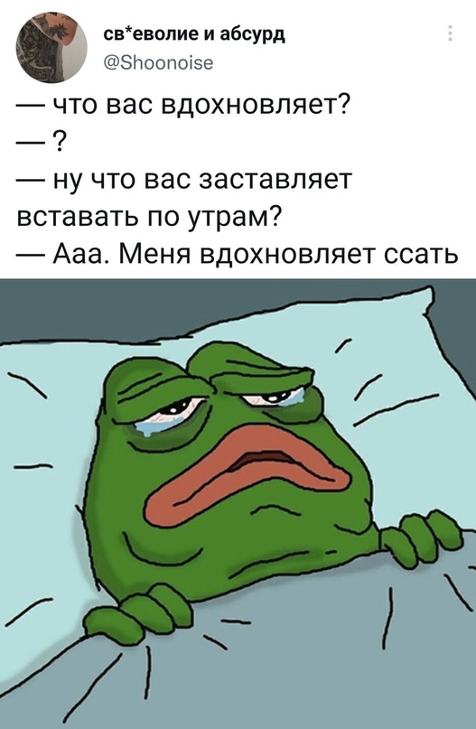 Весёлый полтишок 01.09.22