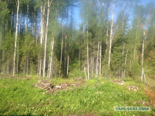 Москва-Воркута.Или туда и обратно.