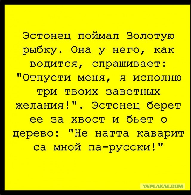 Казахи продолжают