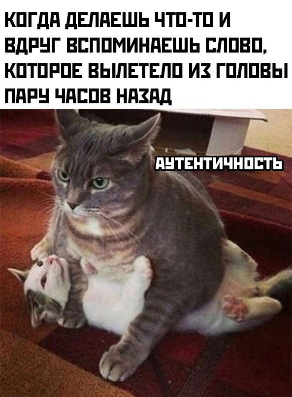 Весёлый полтишок 12.10.22