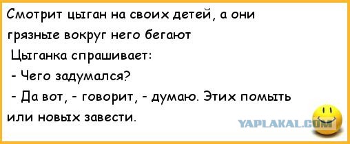 Шиши мыши