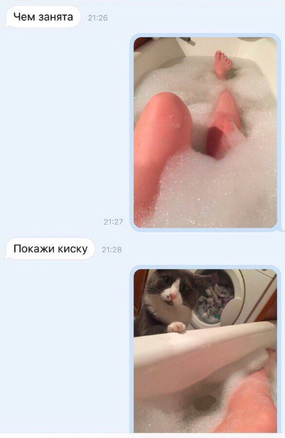 Так себе картинки 20.06.23