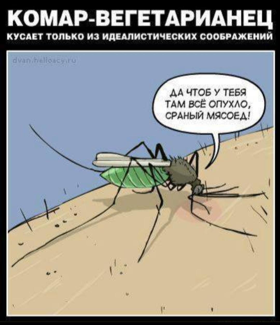 картинки про комаров