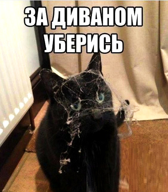 Грязнуля ты, Наташа, поэтому и живем вдвоем