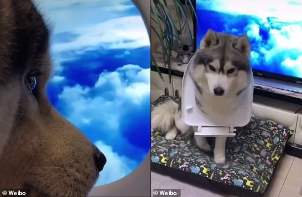Как он делает крутейшие снимки, не прибегая к дичайшему фотошопу