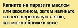 Майские праздники