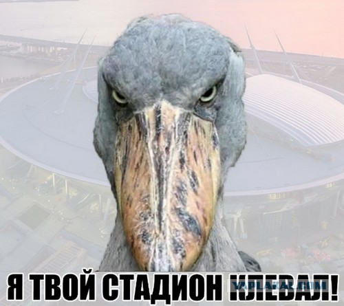 Лахта Центр - самая большая "сосулька" в Европе