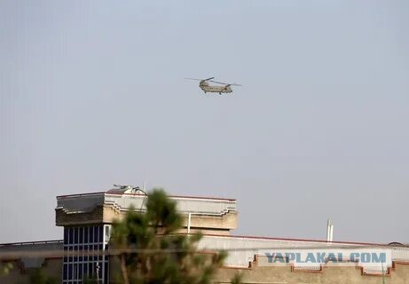 Президент Асад вылетел из Дамаска, командование армии объявило о капитуляции