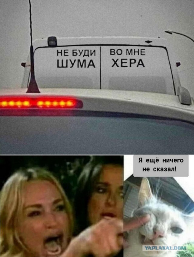 Веселые картинки в понедельник (20.01)